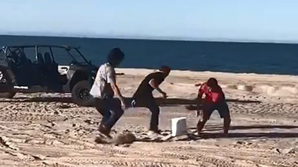 Boom headshot: als je een emmer de lucht in schiet komt hij ook naar beneden