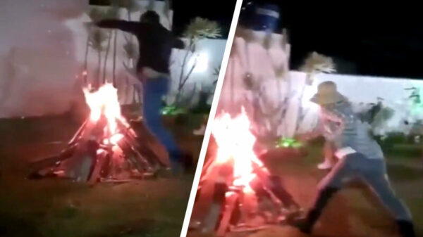 Zatlap wordt geroosterd als hij over een kampvuur probeert te springen