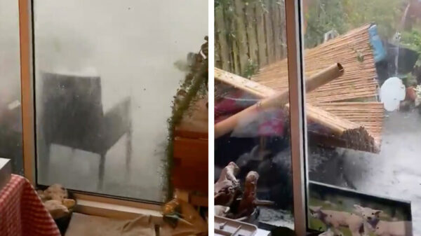 Windhoos in Leersum vernielt een complete achtertuin