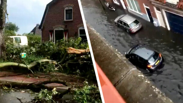 Noodweer in Nederland: geknakte hoogspanningsmasten, drijvende auto's en ondergelopen tunnels