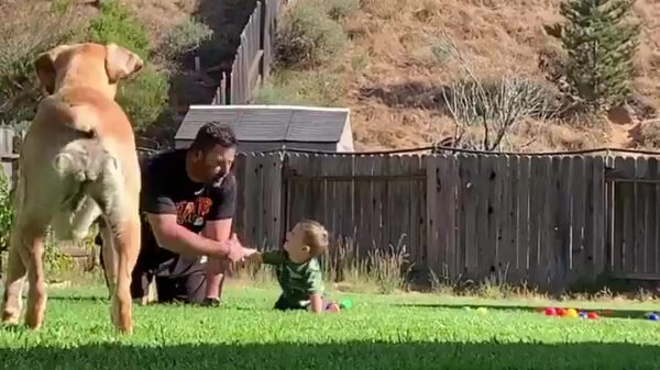 Klaar voor de start? Boink!