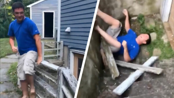 Ga jij anders even op het hek zitten dan maak ik een video