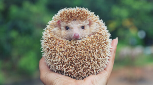 Als je denkt dat jij een zwaar leven hebt...