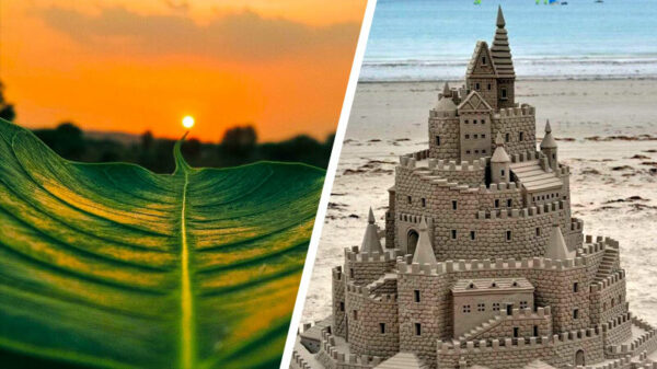 Omdat het weekend is: gewoon weer even een fijne lading OCD-pics