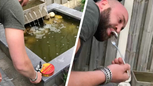 Een bakje surströmming wegwerken; voor en door professionals