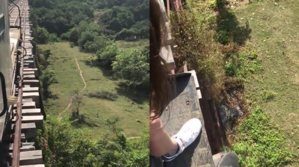 Dit treinritje is niet geschikt voor mensen met hoogtevrees