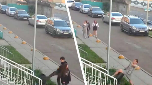 Dronken Russische tieners vs onschuldige prullenbak: 0 - 2