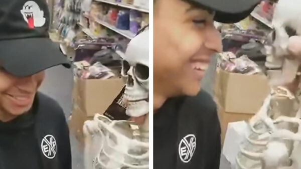 Web classic: een klein skelettenmopje omdat het kan