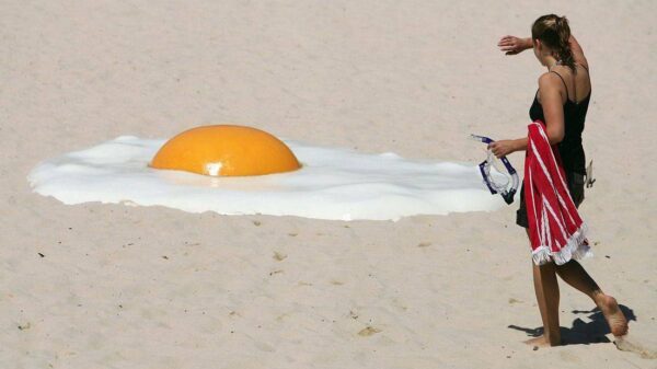 Picdump (2555)