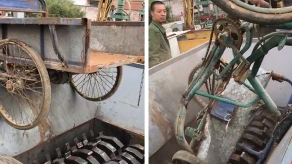 Shredder versus bakfiets: place your bets