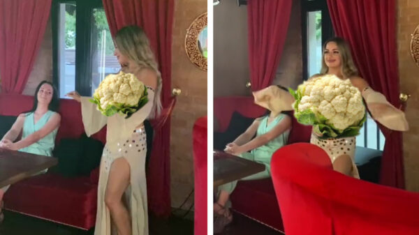 Buikdanseres weet haar sterke punten bijzonder goed in te zetten