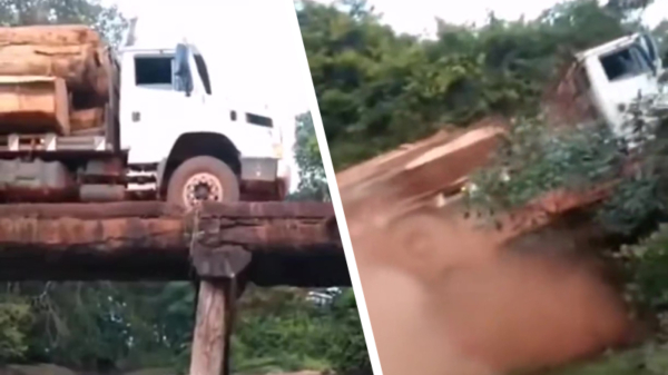 Met een vrachtwagen vol hout over een houten brug blijkt geen succes