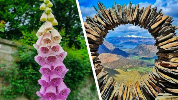 Gewoon een verzameling heerlijke OCD-pics omdat het zaterdag is