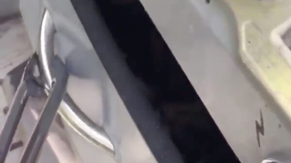 Een minder smakelijke verrassing in je BBQ