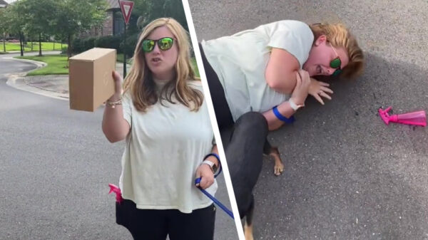 Buurvrouw vindt het allemaal wel welletjes en begint pakketten te jatten