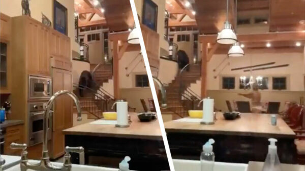 Tante met eierstokken van staal jaagt ongewenste bezoeker uit huis