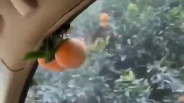 Auto heeft indrukwekkende sinaasappelfeature