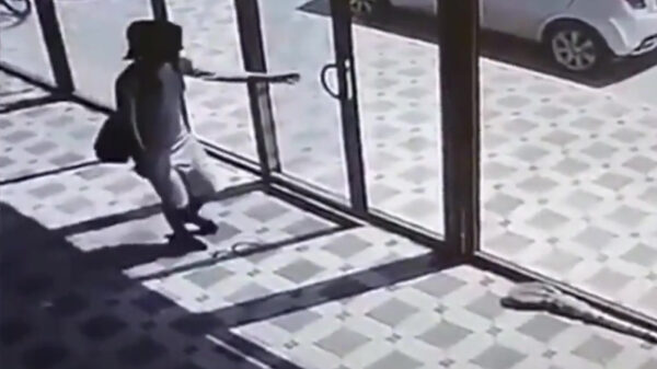 Voor sommige mensen is zelfs een glazen deur nog te ingewikkeld