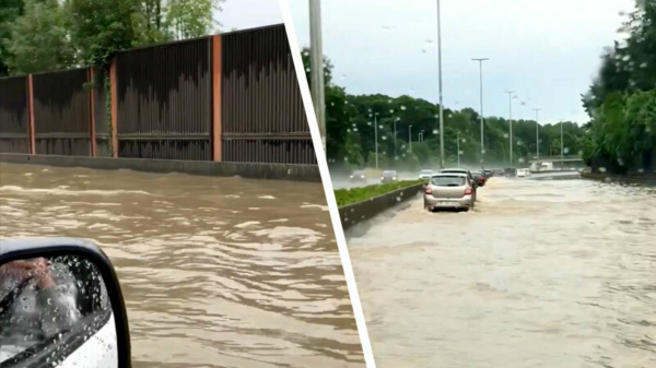 Roeiend de snelweg over dankzij een bak noodweer in het Belgische Aalst