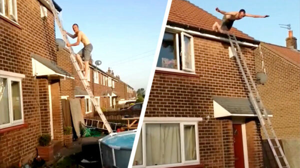 Koekwaus klimt op z'n dak en springt nonchalant het zwembad in