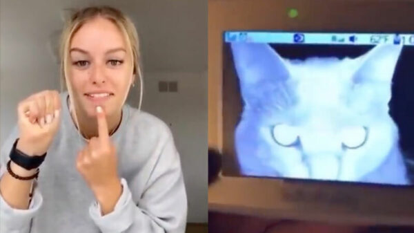 Heerlijke randomness in een nieuwe Coubcompilatie (141)