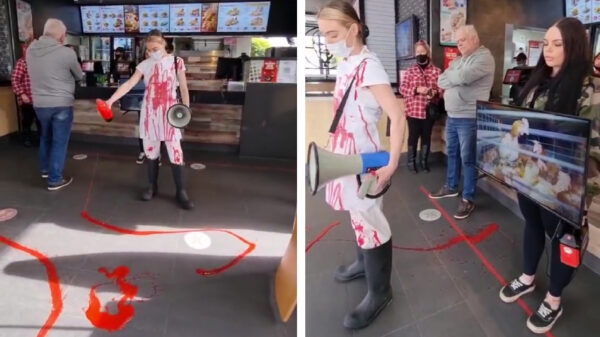 Activistische vegans besmeuren Australische KFC met 'dierenbloed' en protesteren in lingerie