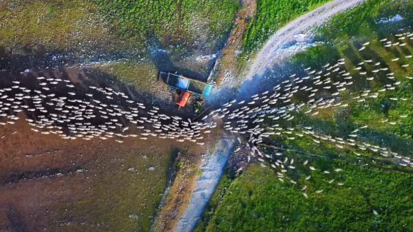 Skitterende dronebeelden voor als je weer eens niet kunt slapen