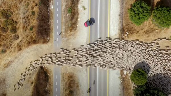 Skitterende dronebeelden voor als je weer eens niet kunt slapen