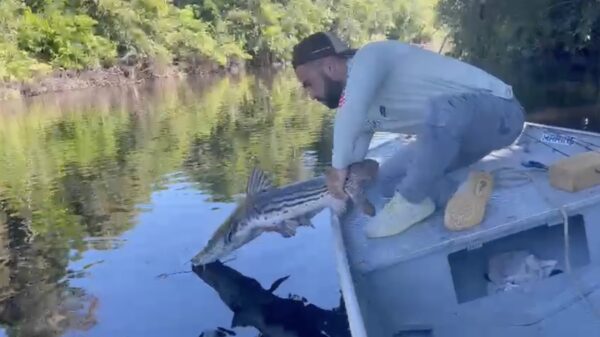 Skoften vakantietip: vissen in Brazilië is nooit geheel zonder risico