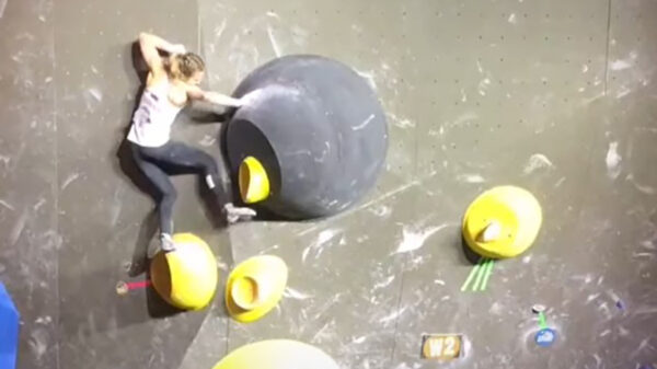 Na deze faceplant heeft ze een plattere snuit dan een Franse Bulldog