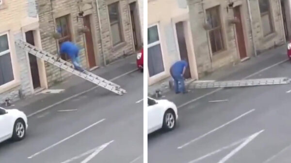 Goh meneer, is het soms uw allereerste keer op een ladder?