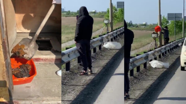 Ransbak heeft letterlijk schijt aan mobiele flitser