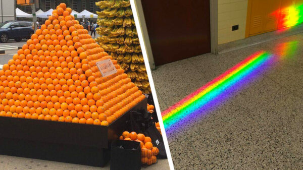 Je weekend is niet compleet zonder deze verzameling van 20 perfecte OCD-pics