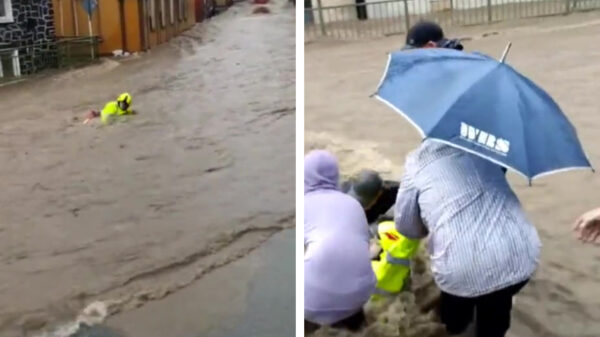 Duitse helden redden brandweerman van verdrinking door hem uit het stromende water te trekken