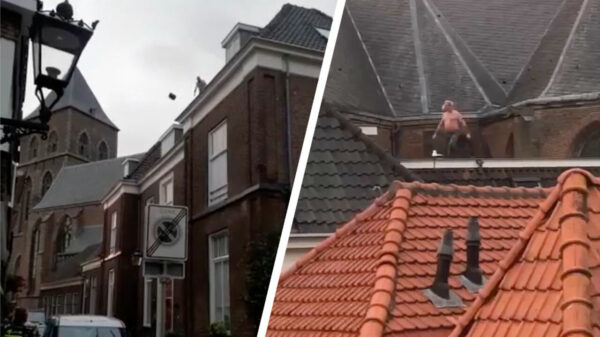 Verwarde man compleet uit z'n dakpan in Kampen, meerdere auto's vernield