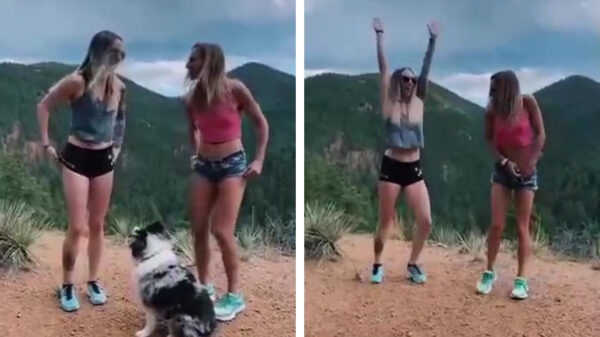 Leuk idee voor het weekend: de slipjesrace