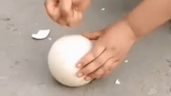 Kindersurprise komt met een nieuw verrassingsei