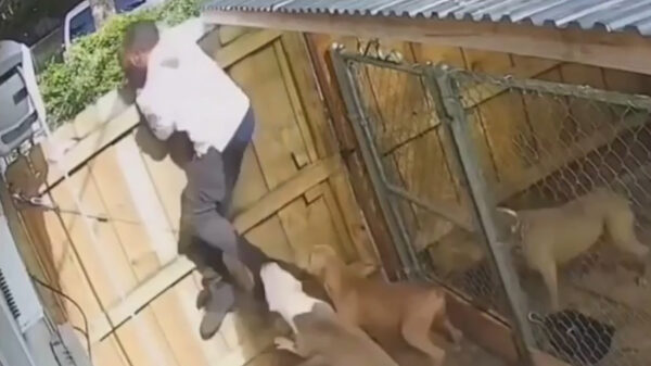 Wanneer je het bordje "Pas op: hier waak ik" negeert