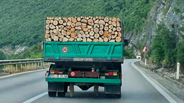 Het is weekend en dat betekent bijkomen met een lading OCD-pics