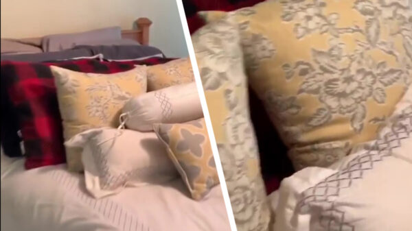 Het nadeel van een vrouw in je huis