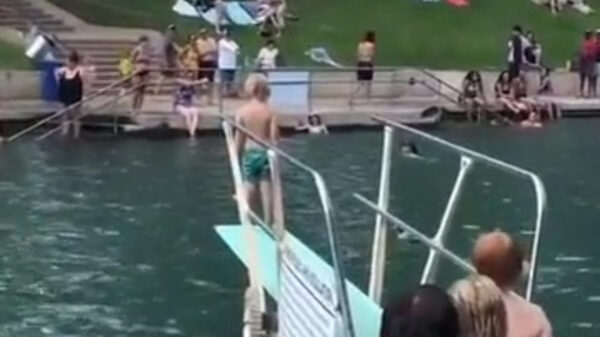 Even kennismaken met de absolute eindbaas van het zwembad