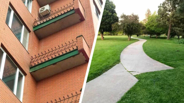 Een nieuwe verzameling van 33 prutsers die slechts één taak hadden