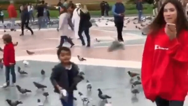 Kleine Jeffrey Dahmer vangt en smijt duiven naar vrouwelijke slachtoffers