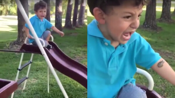 Moeder maakt panieksituatie rondom kikker er niet beter op