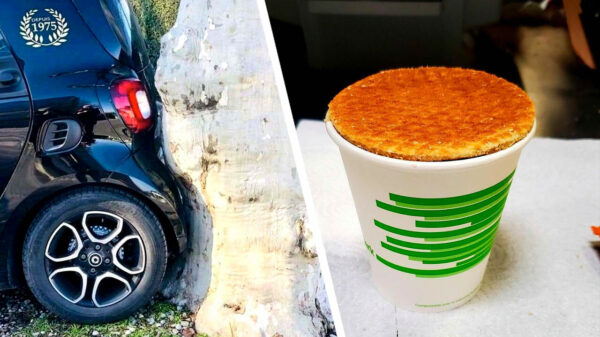 33 perfect passende OCD-pics waar je meteen zen van wordt