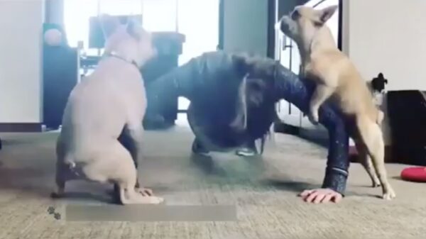 Thuis een work-out uitvoeren is niet altijd even makkelijk