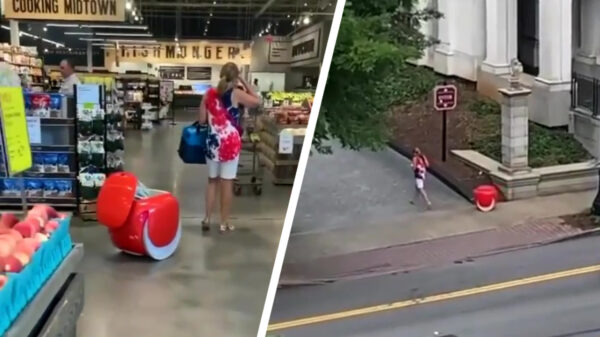 Met deze robot wordt boodschappen doen een stuk relaxter