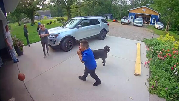 Hey papa, think fast!