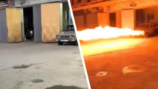 Een vlammenwerper op je auto is gegarandeerd functioneler dan een toeter