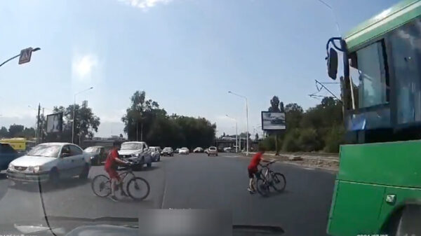 Overstekende koters hebben een moddervette engel van 221 kilo op hun schouder